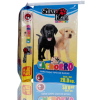 Silver Kan cachorro