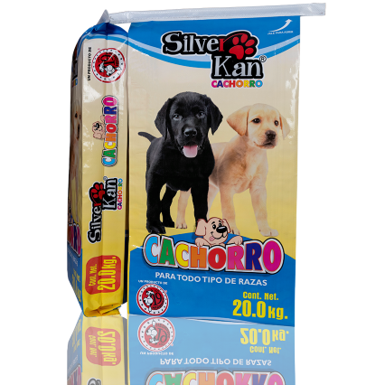 Silver Kan cachorro