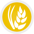 Fibra